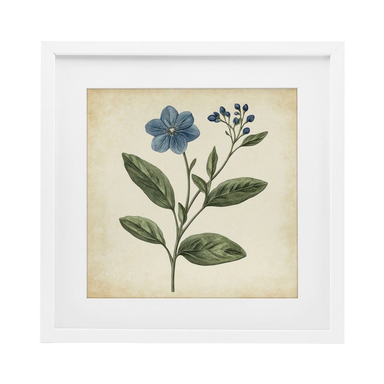 Stupell Industries Vintage Blue Blossoms Wildflower Framed Print Under Glass, design by Petal Prints Design